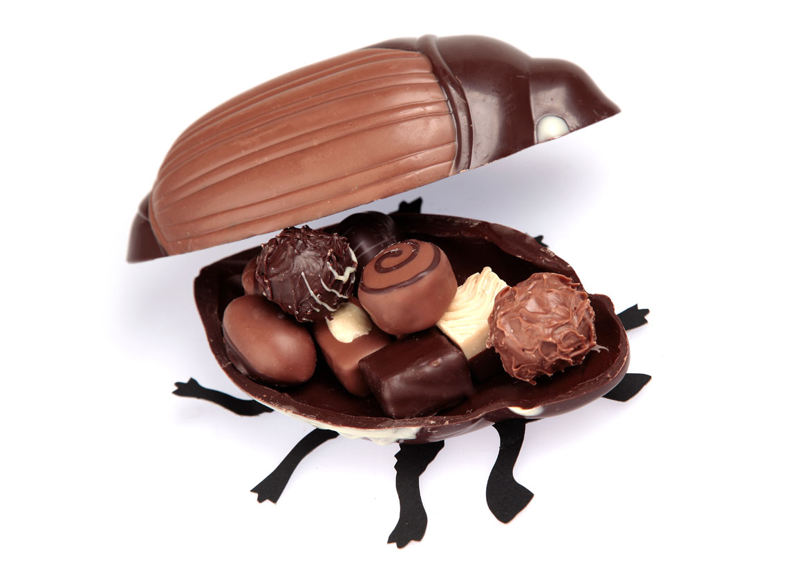 Schokoladen-Maikäfer